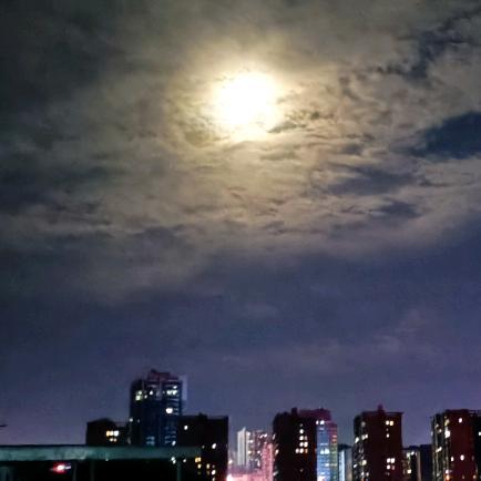 奋斗的小彊头像