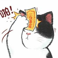 漂洋过海来看你9072头像