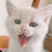 眷思量428的个人资料头像