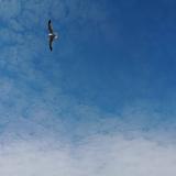 用户6822854157300头像