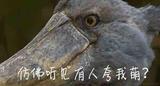 gk0503头像