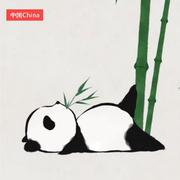 五花rou的个人资料头像