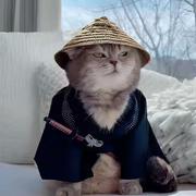 徐荣宇的个人资料头像