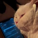 勇者诗意松鼠头像