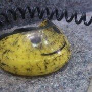 TurboFHB的个人资料头像