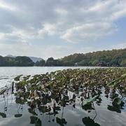 浪花_的个人资料头像