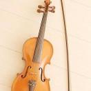 哎呦喂本尊43037的个人资料头像