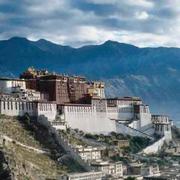 YorHoo的个人资料头像