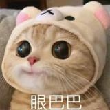 秋北V头像