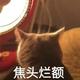 tAn90 · 锐界车主·车龄3年头像
