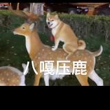 扒菇鸭露头像