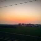 荞麦花的个人资料头像