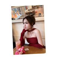 自强不息百灵鸟ZEH头像