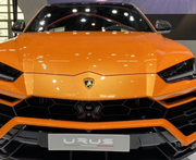 码向未来的个人资料头像