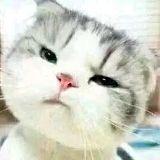 tz_lws的个人资料头像