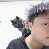 爱人与爱猫头像