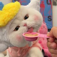 用户7579546019405头像