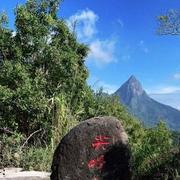 感恩的心50的个人资料头像