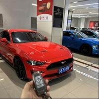 六儿的野马头像