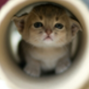 一步一步的个人资料头像