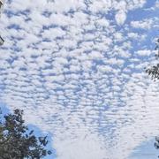 大奖伴随我的个人资料头像