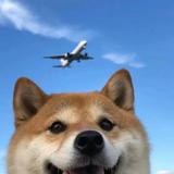 用户8745481658336头像