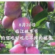 清灯的个人资料头像