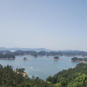 大康修道头像