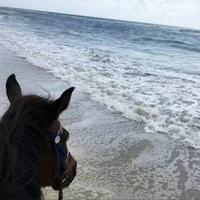 用户9116192407921头像