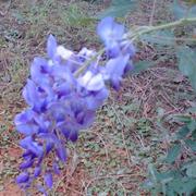 东风吹火的个人资料头像