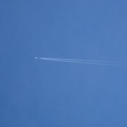 掰棒子的个人资料头像