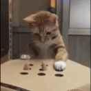 moon不想说话56044的个人资料头像