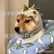 ruanruan的个人资料头像