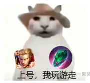 不敢用真名的个人资料头像