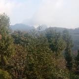 得嘞霸龙头像
