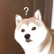 哈迪斯ww的个人资料头像