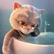 宇宙至尊无敌超人的个人资料头像