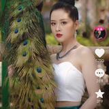 爱生活安达5L7头像