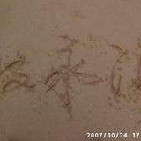 大漠水手858头像