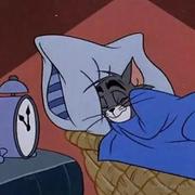 转瞬即逝汤姆猫的个人资料头像