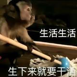风姿卓越梦想9P9头像