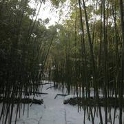 工程师高培的个人资料头像