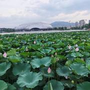 微笑498的个人资料头像
