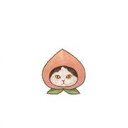 zxh的个人资料头像