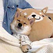 用户1078427500595的个人资料头像
