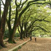 grt243的个人资料头像