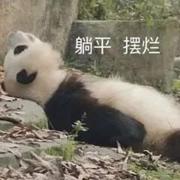 ice星火的个人资料头像