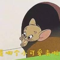 大好山河249头像