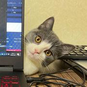 口袋的个人资料头像