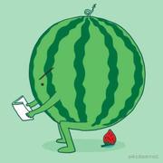 MelonGO的个人资料头像